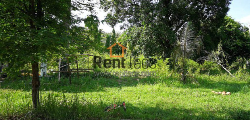 Land & house in Domestic area FOR RENT