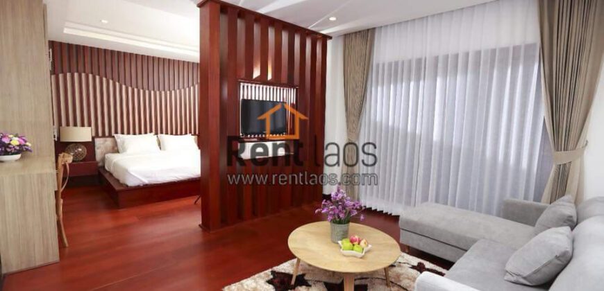 luxury apartment for rent in diplomatic area