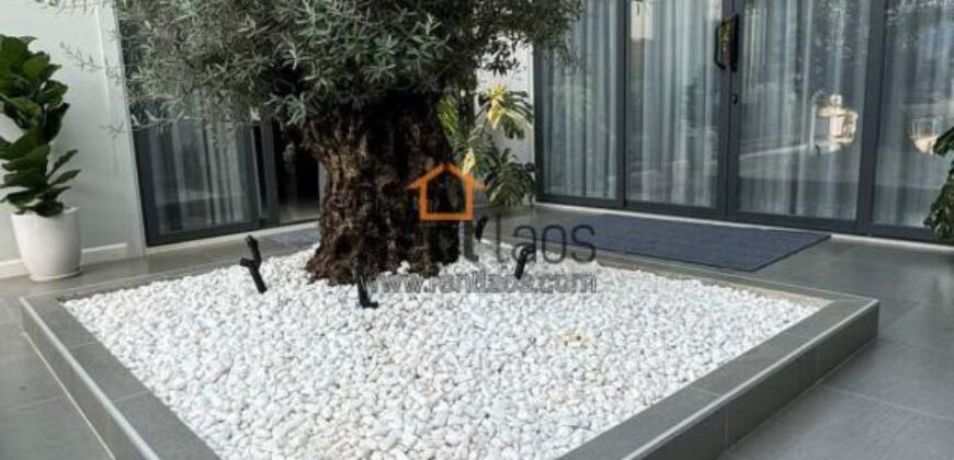 Modern house for rent