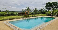 House for rent