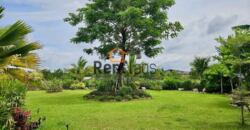 House for rent