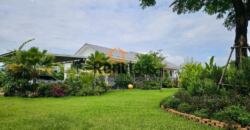 House for rent