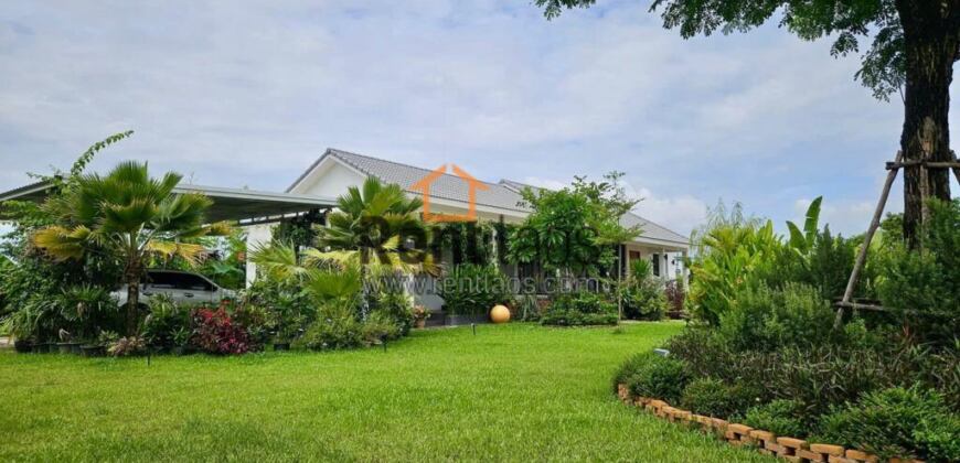 House for rent
