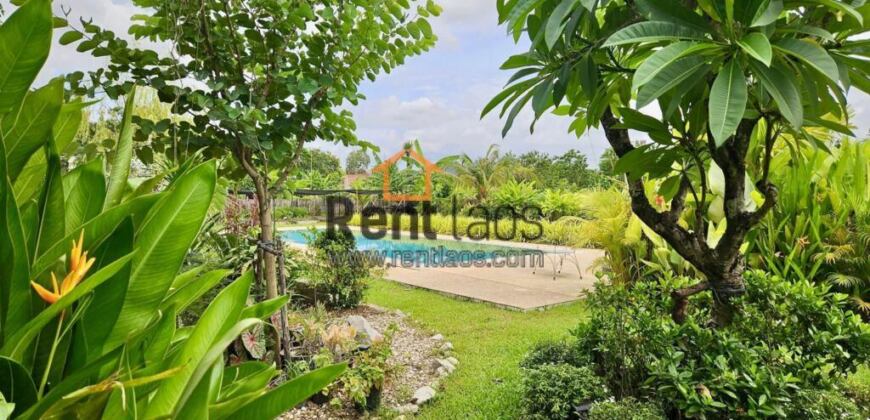 House for rent