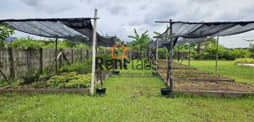 House for rent