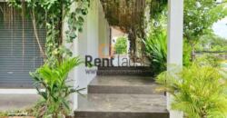 House for rent