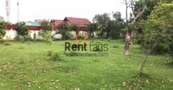 House for rent