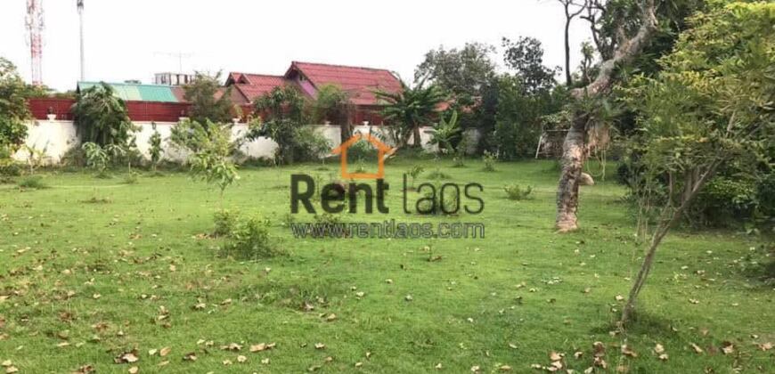 House for rent